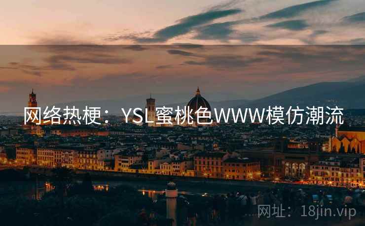 网络热梗:YSL蜜桃色WWW模仿潮流 第2张 网络热梗:YSL蜜桃色WWW模仿潮流 第2张