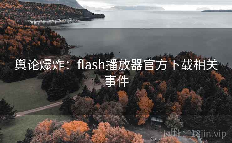 舆论爆炸:flash播放器官方下载相关事件