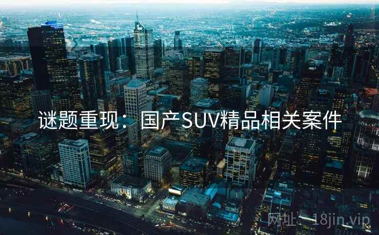 谜题重现:国产SUV精品相关案件